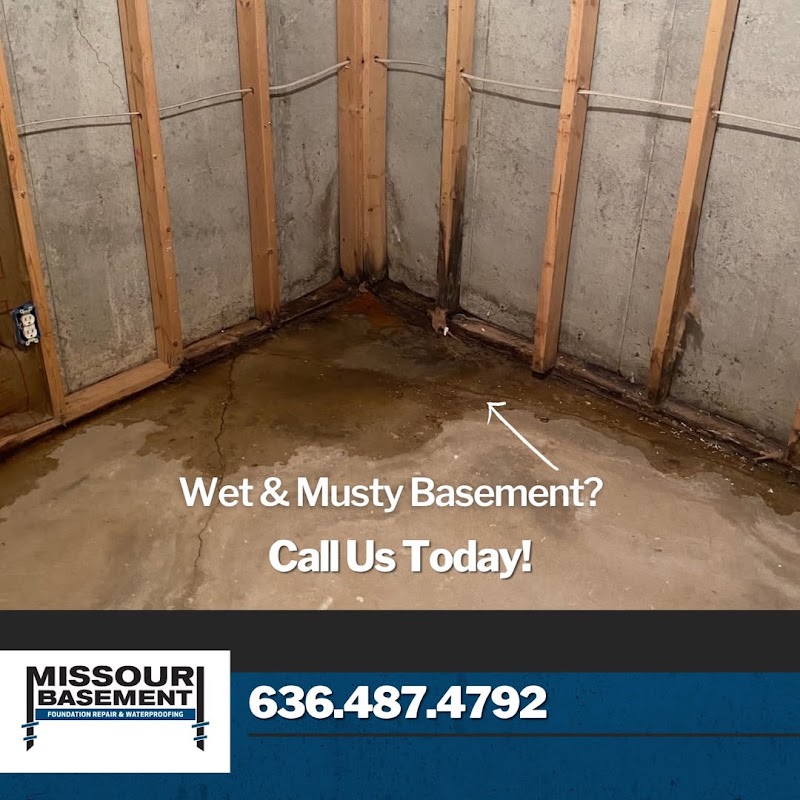 Missouri Basement photo 3