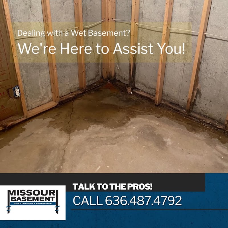 Missouri Basement photo 6